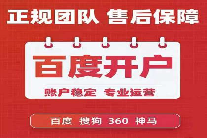 行业领先企业的SEM广告策略与效果分析
